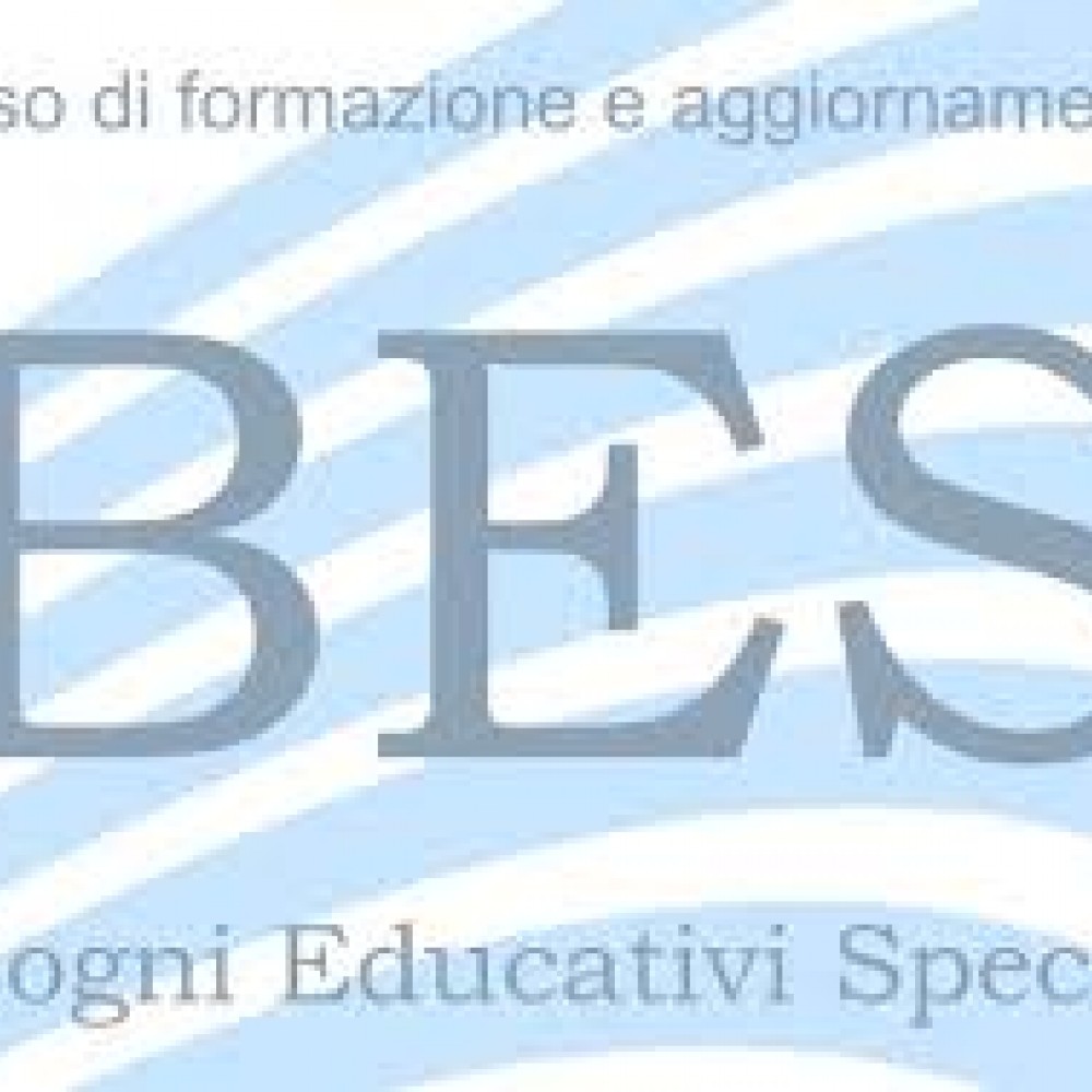 BES E DISABILITA': DALL'INTEGRAZIONE ALL'INCLUSIONE